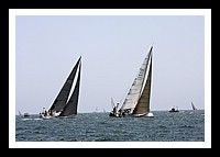 NPTBDA147.JPG