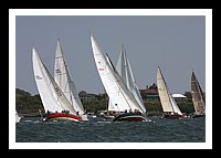 NPTBDA184.JPG