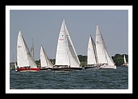 NPTBDA206.JPG