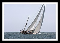 NPTBDA217.JPG