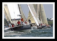 NPTBDA268.JPG