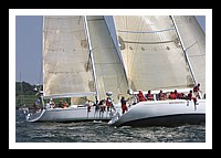 NPTBDA276.JPG
