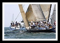 NPTBDA288.JPG