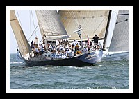 NPTBDA290.JPG