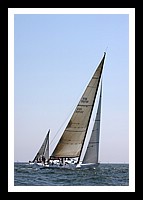 NPTBDA291.JPG