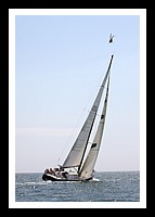NPTBDA299.JPG