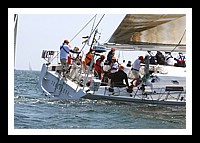 NPTBDA305.JPG