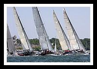 NPTBDA367.JPG