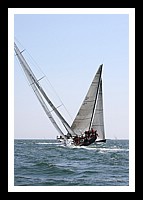 NPTBDA379.JPG