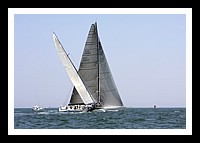 NPTBDA385.JPG