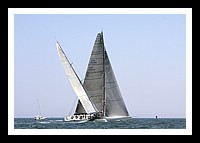 NPTBDA386.JPG