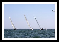 NPTBDA388.JPG