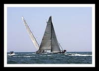 NPTBDA389.JPG