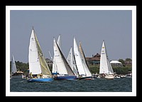 NPTBDA393.JPG