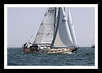 NPTBDA409.JPG