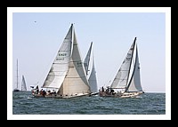NPTBDA412.JPG