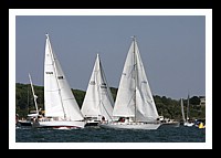 NPTBDA455.JPG
