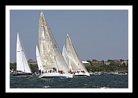 NPTBDA462.JPG