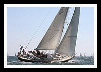 NPTBDA465.JPG