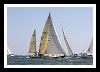NPTBDA474.JPG