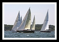 NPTBDA483.JPG