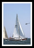 NPTBDA485.JPG