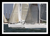 NPTBDA486.JPG