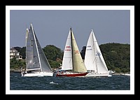 NPTBDA489.JPG