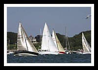 NPTBDA495.JPG