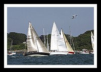 NPTBDA496.JPG