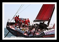 NPTBDA529.JPG