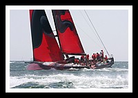 NPTBDA550.JPG