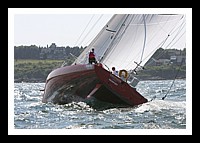 NPTBDA564.JPG
