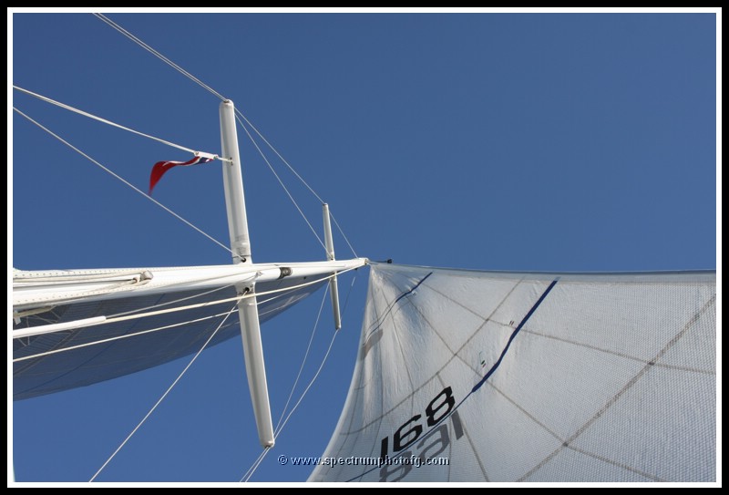 IMG_0915pp.JPG