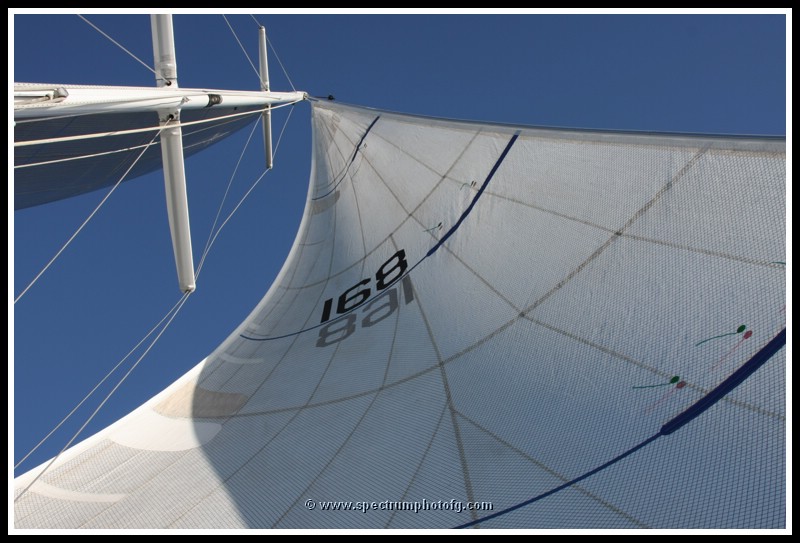 IMG_0916pp.JPG