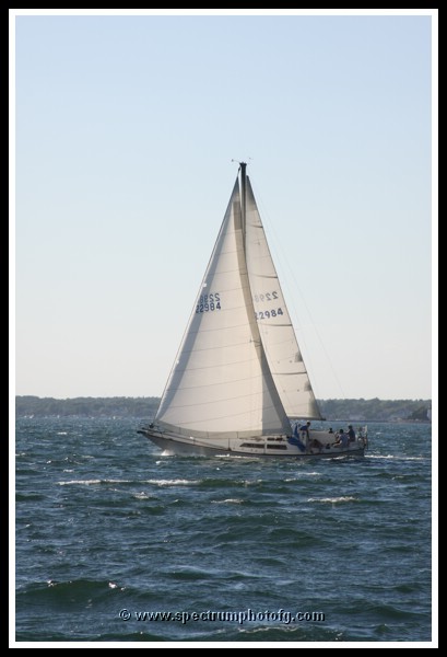 IMG_0918pp.JPG