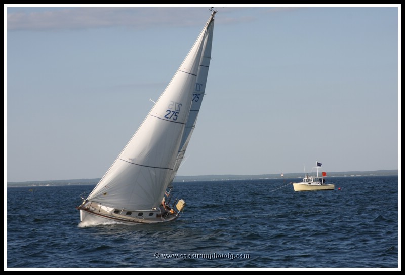 IMG_0931pp.JPG