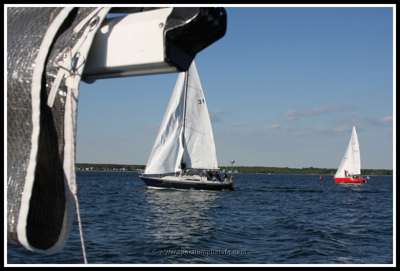 IMG_0946pp.JPG
