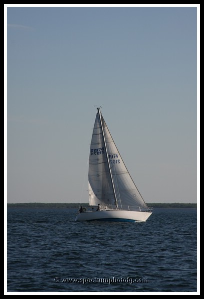 IMG_0963pp.JPG