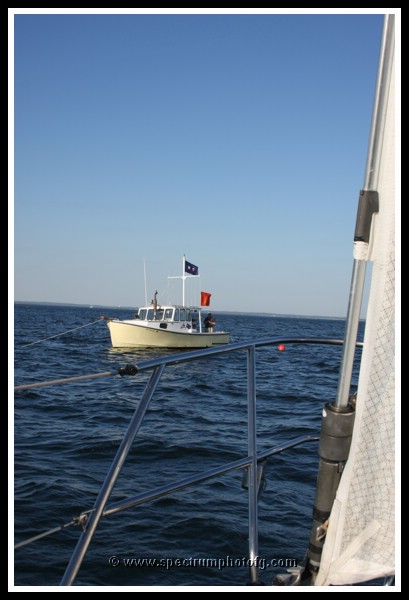 IMG_0969pp.JPG