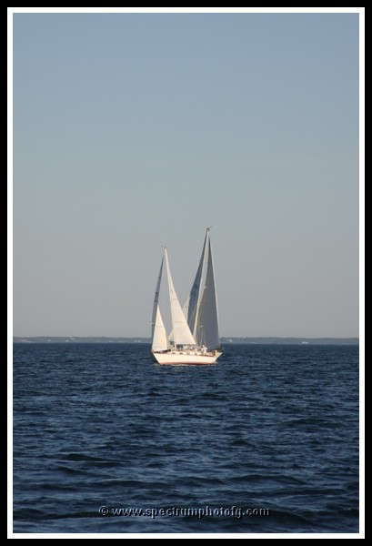 IMG_0986pp.JPG