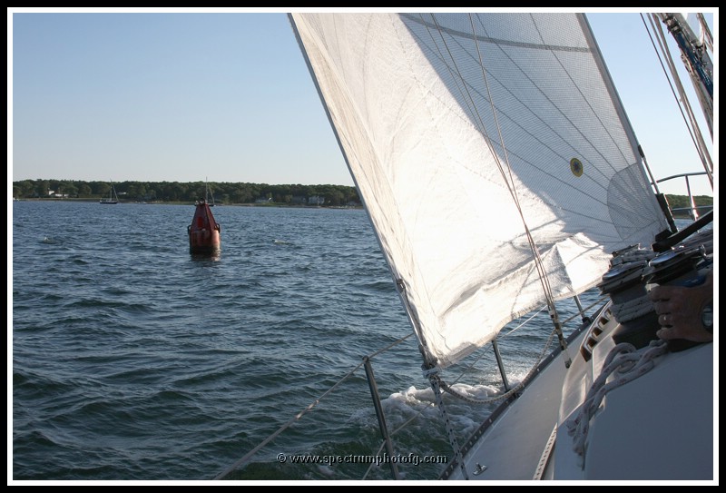 IMG_0992pp.JPG
