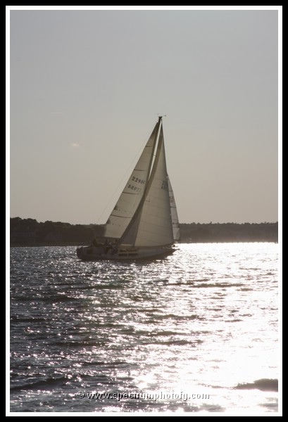 IMG_0996pp.JPG