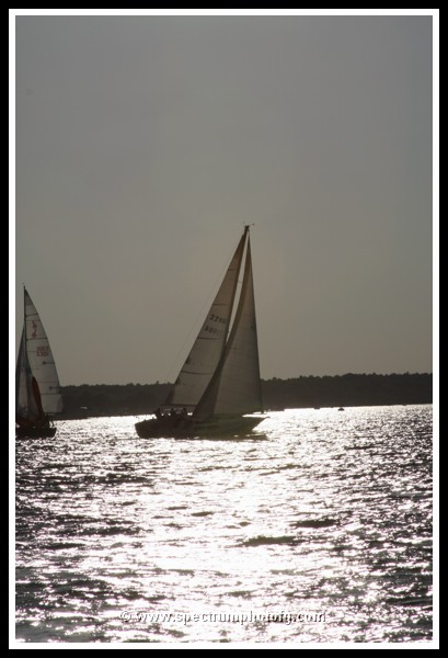IMG_0997pp.JPG