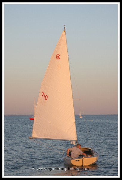 IMG_1013pp.JPG