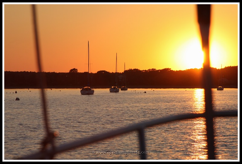 IMG_1020pp.JPG