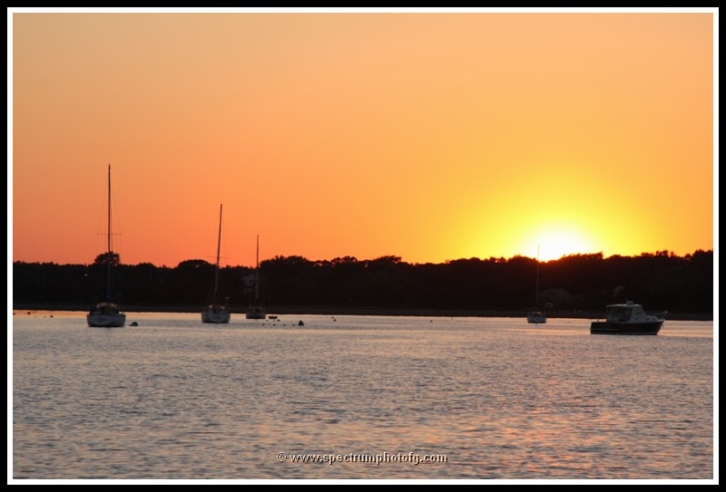IMG_1030pp.JPG