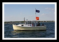 IMG_0906pp.JPG