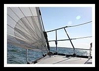 IMG_0911pp.JPG