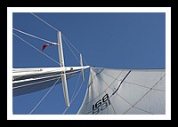 IMG_0915pp.JPG